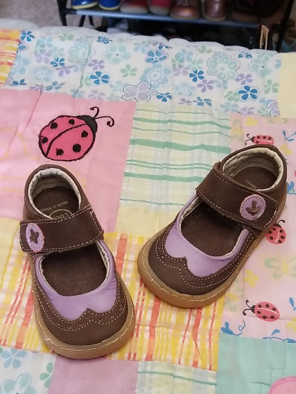 Livie & Luca Brown and Lavender Leather Mary Janes Size 4 Tootles